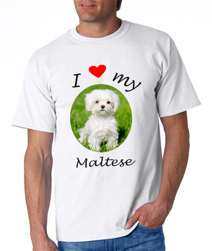 Dogs - Maltese Picture on a Mens Shirt